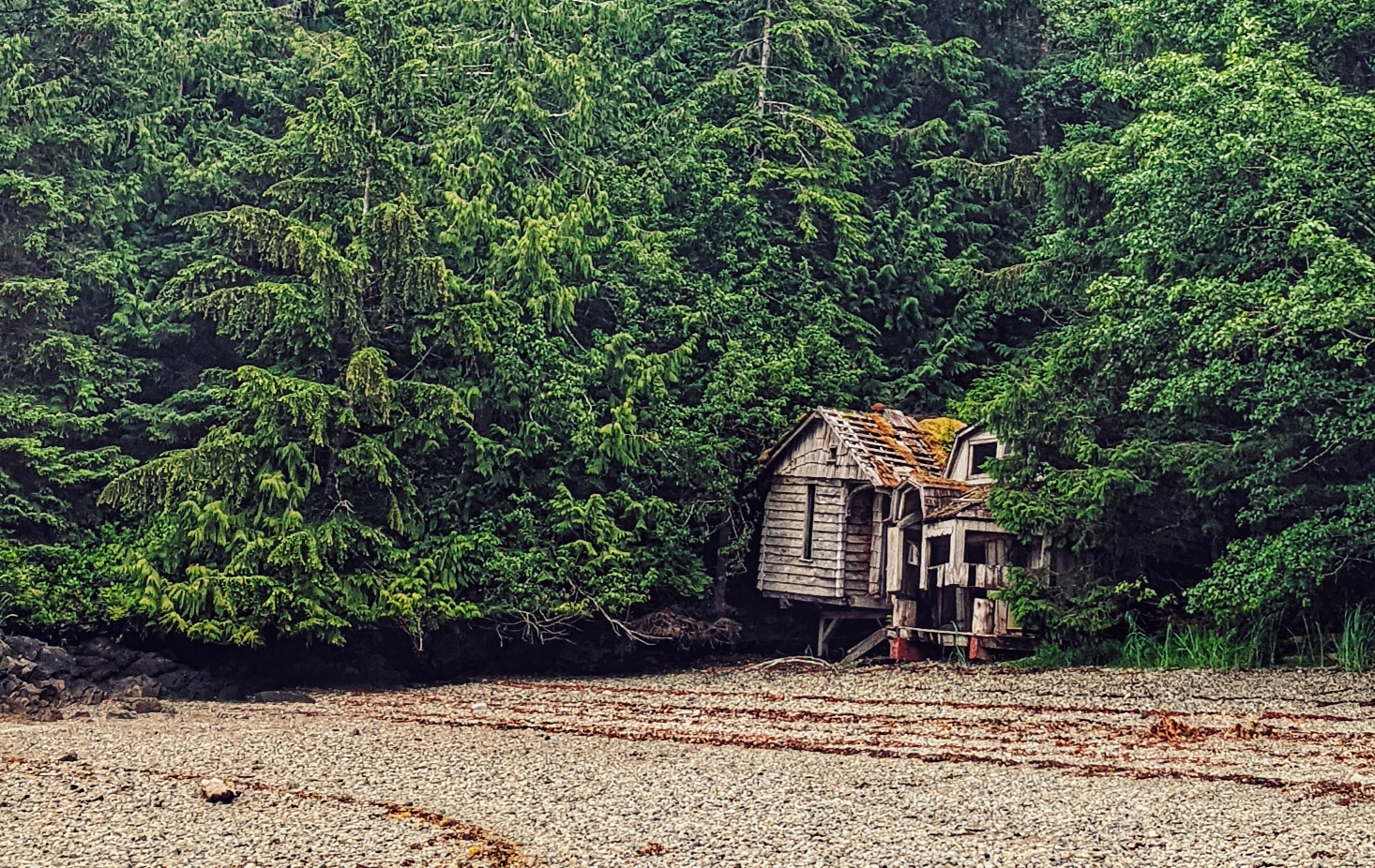 Smugglers Cove cabin