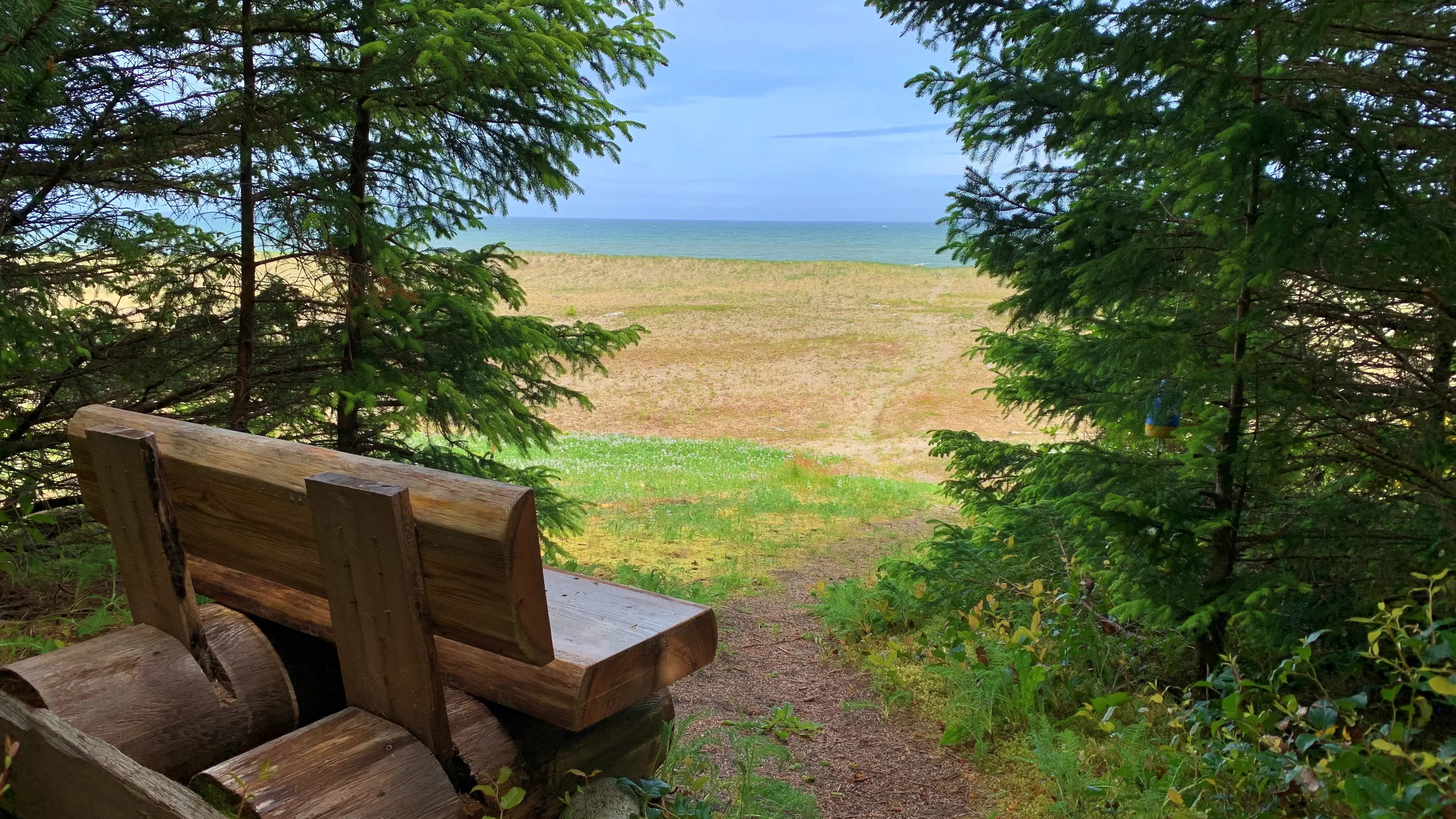 Andrews Place Road Trail: Easy Access to Naikoon Provincial Park