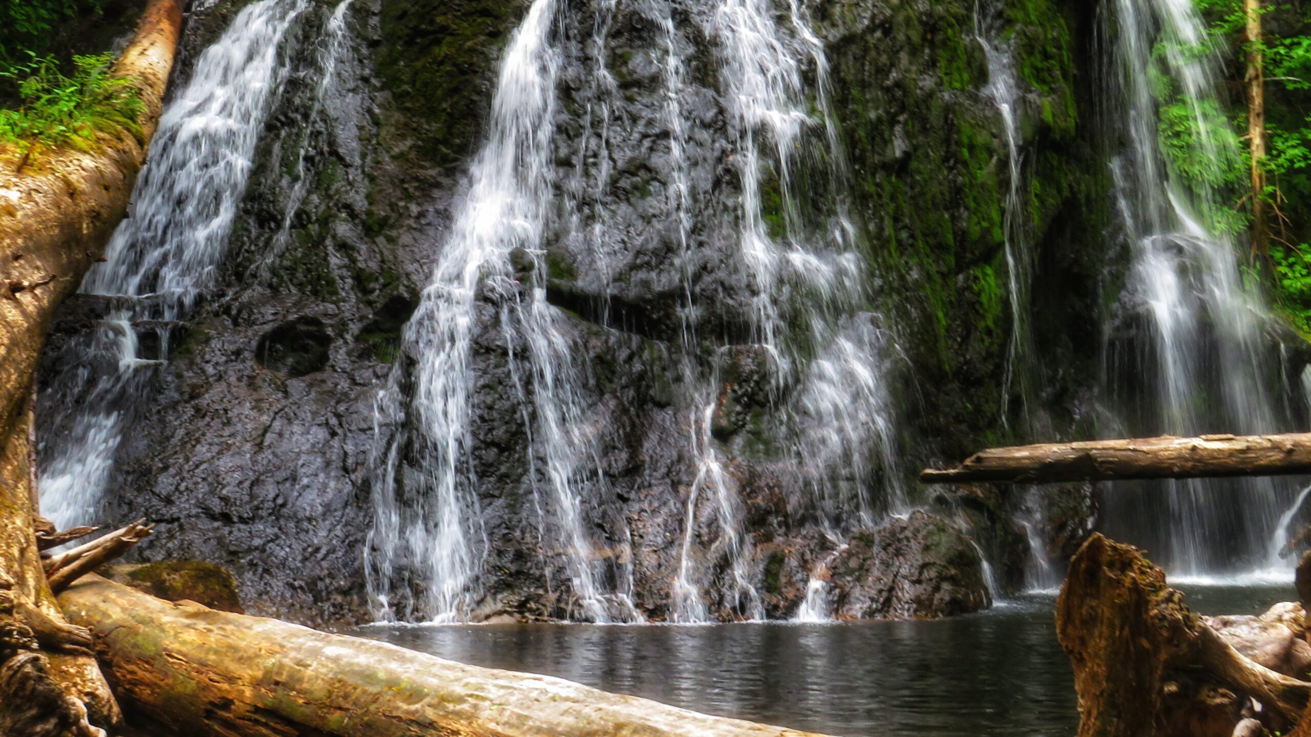 Finding the Three Falls in the Blackwater Creek Waterfall Trails