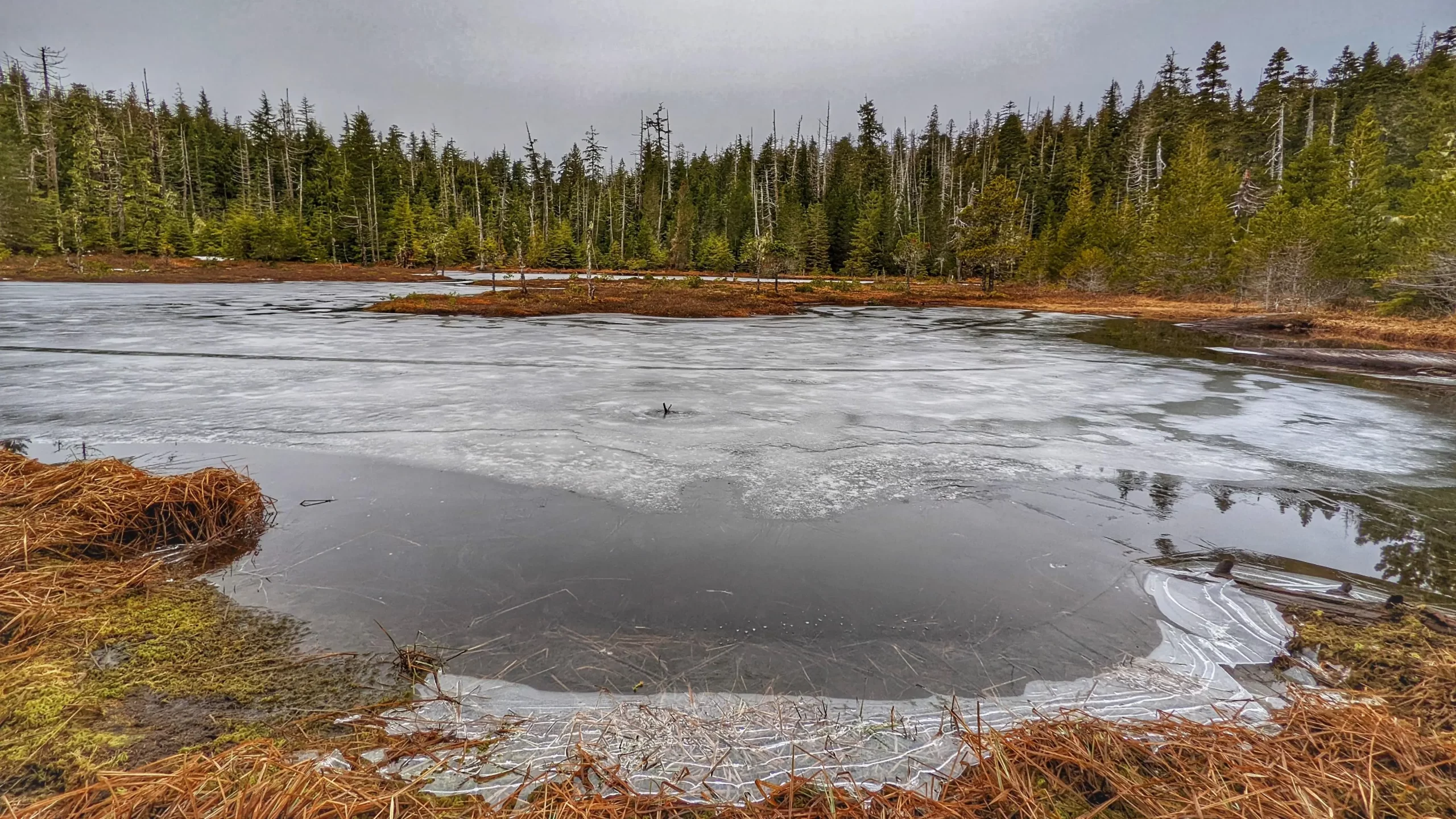 Challenge the Slopes to Scout Lake Trail