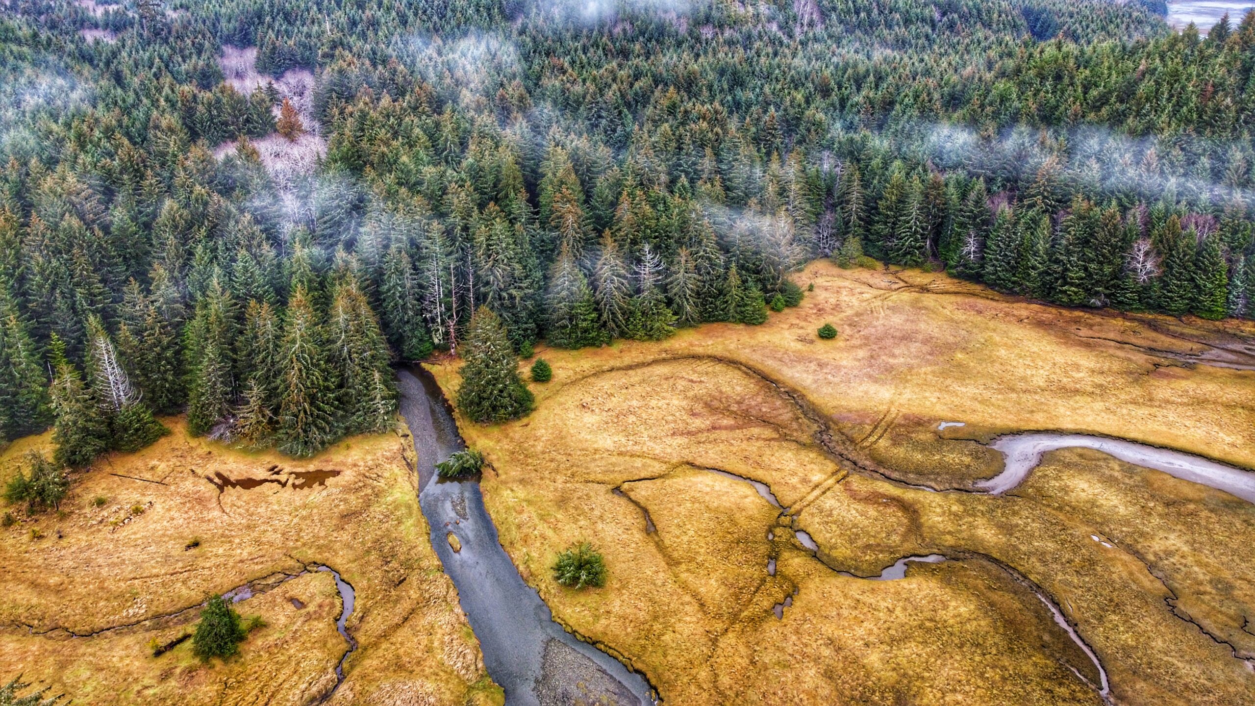 Explore Kagan Bay via Tarundl Creek