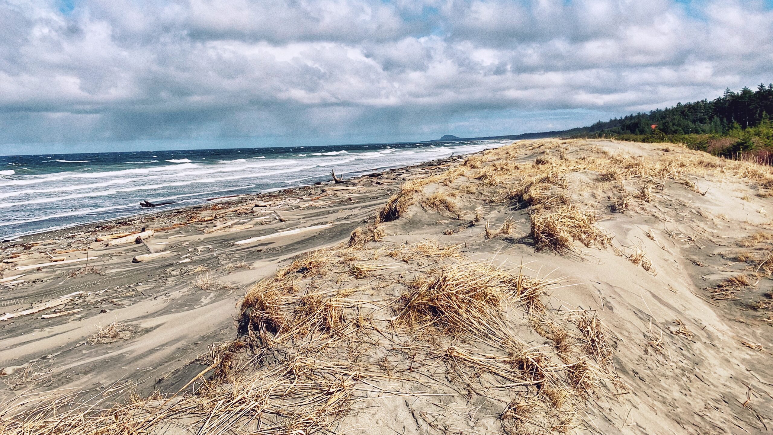 Hydro Pole 97 Trail – Easy Beach Access to Naikoon Provincial Park