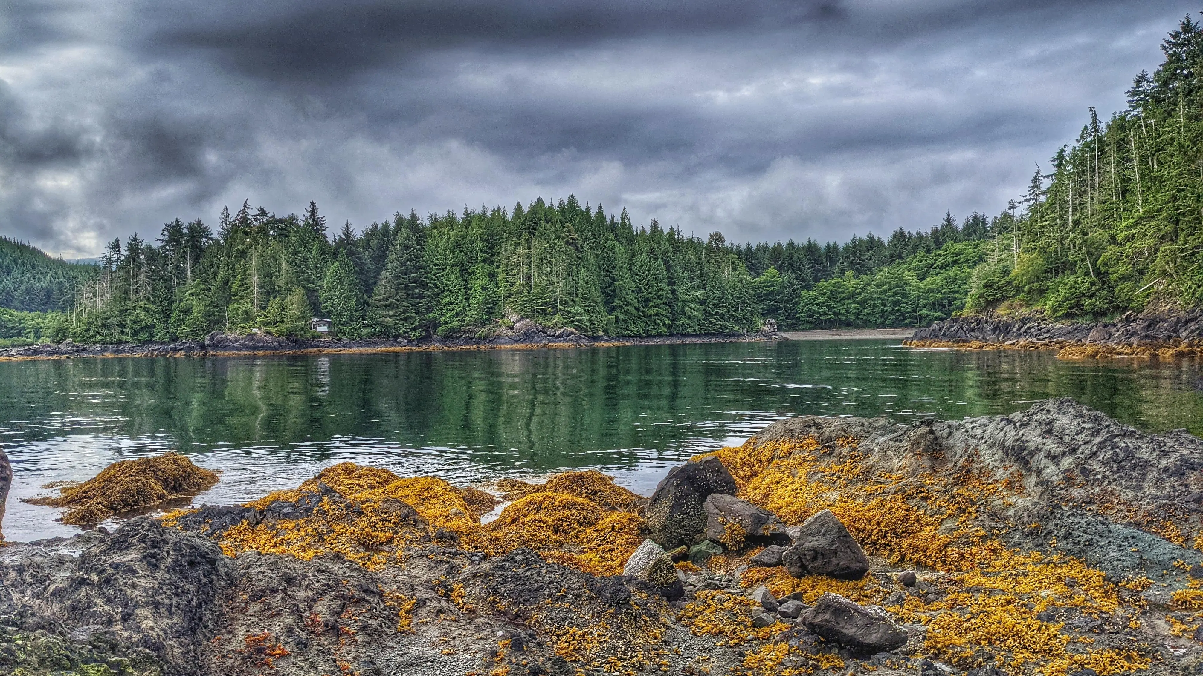 Walk to Remi’s Cabin – Kwuna Point Trail