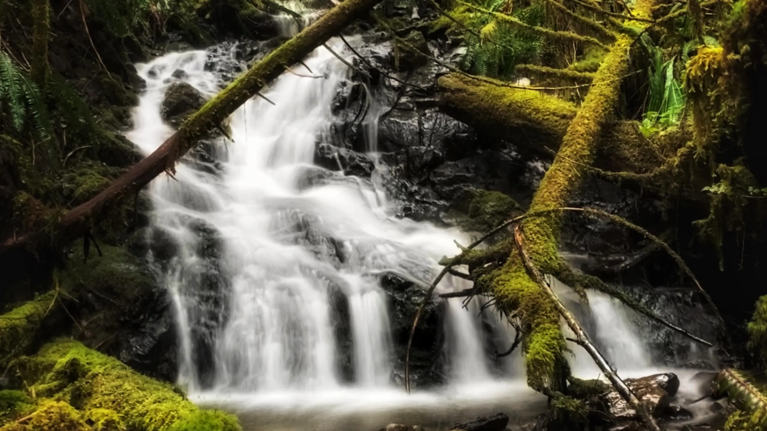 Impressive 5-Mile Marker Waterfall Trail