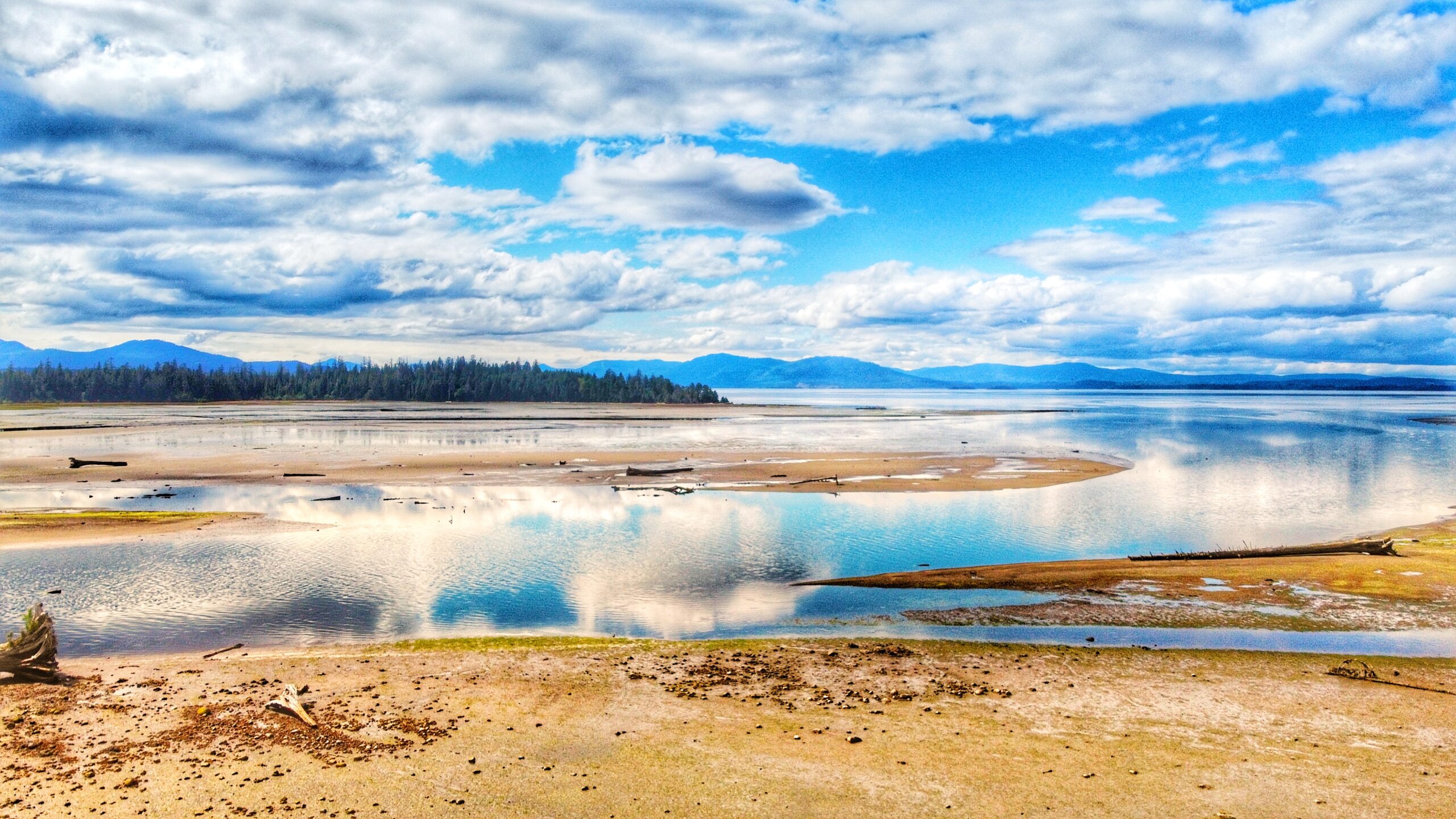 Stroll Along Yakoun Estuary – Sunset Park Trail