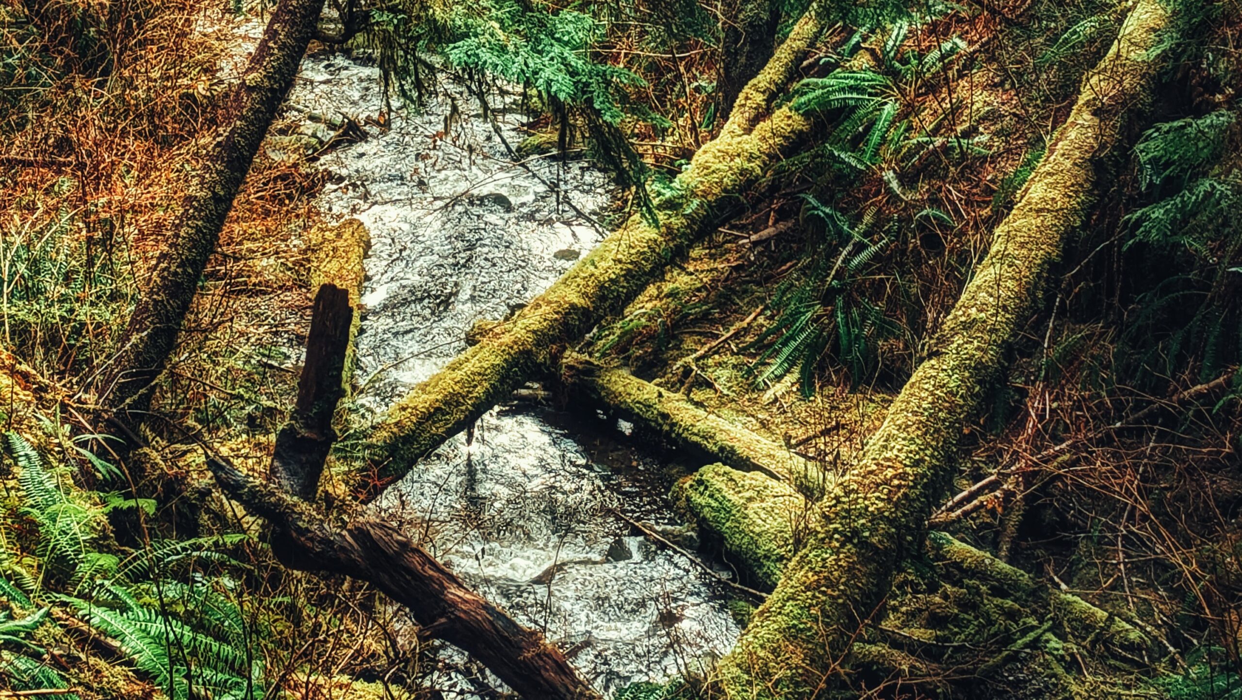 Crabapple Creek Trail