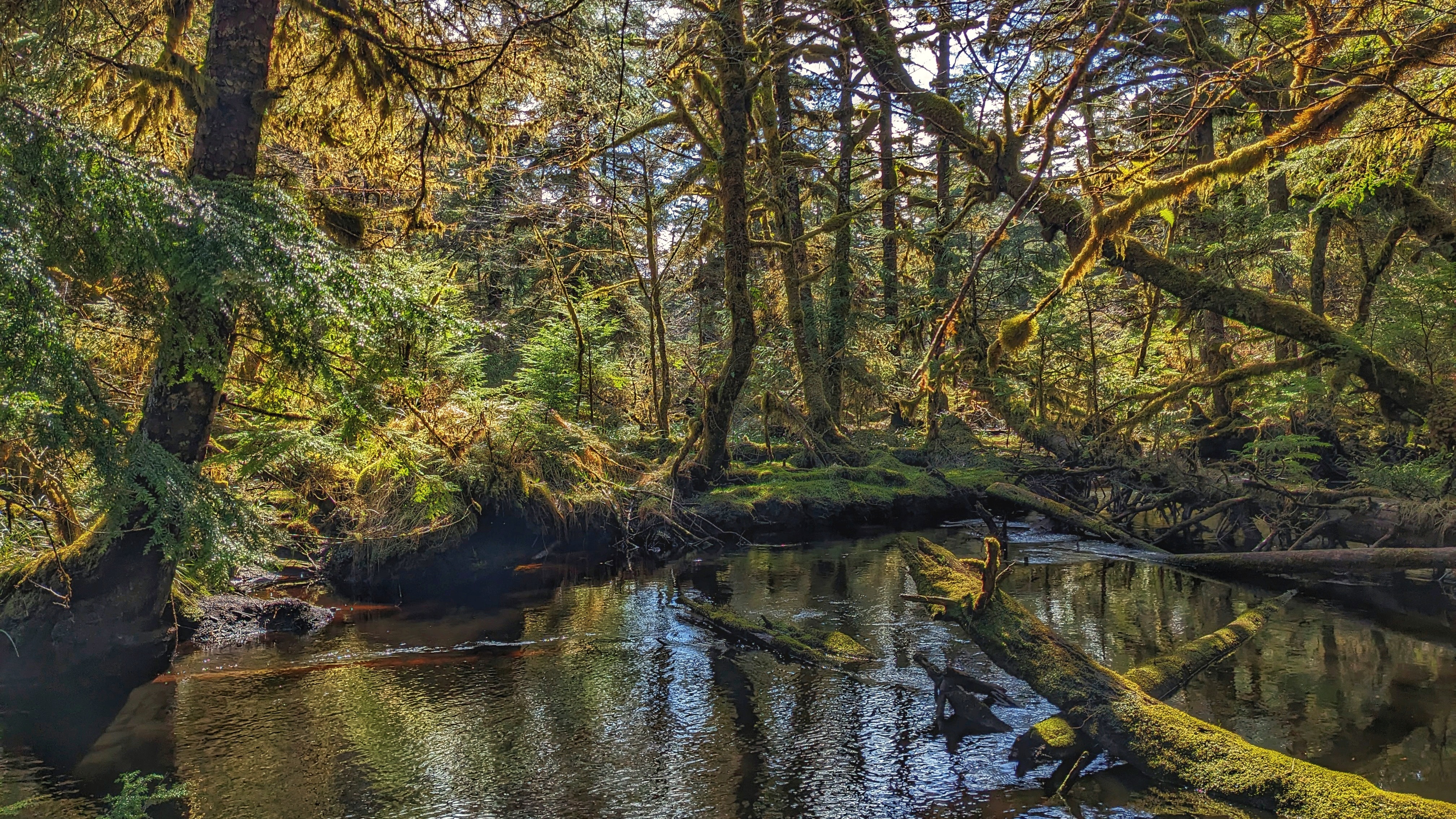 Four Corners Trail: An Unmaintained Wagon Road