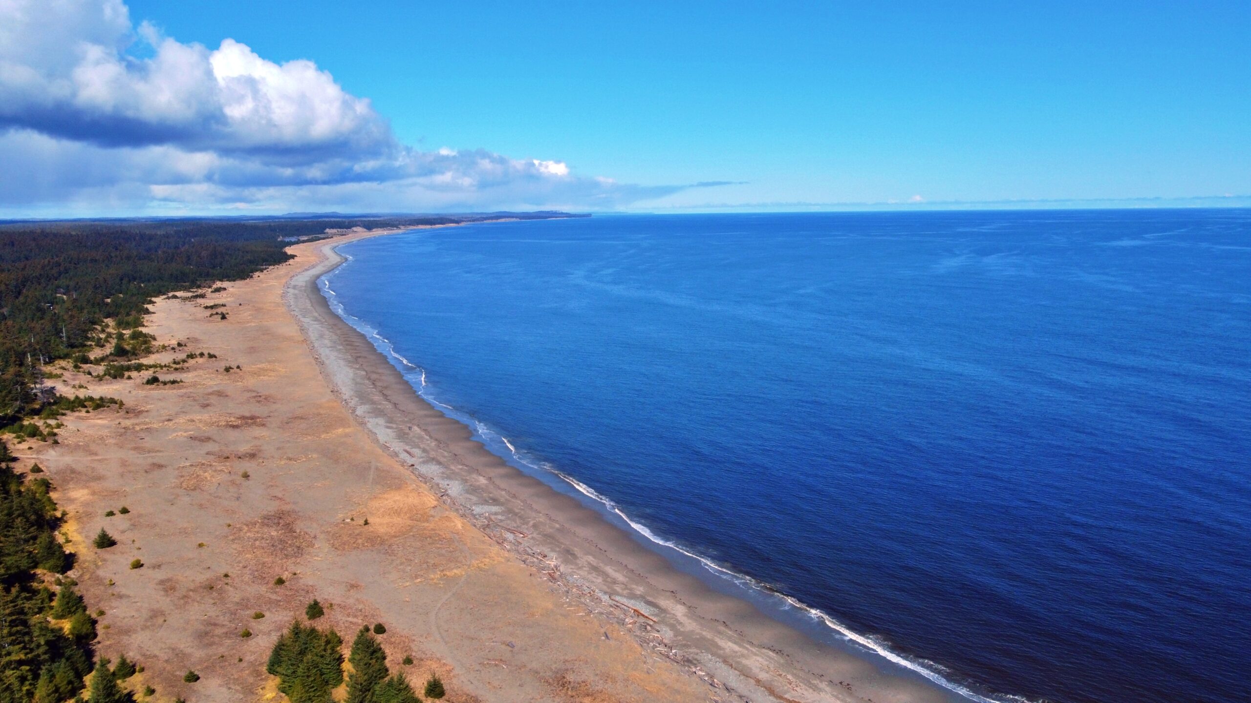 Hiking the Misty Meadows Beach Loop Trail