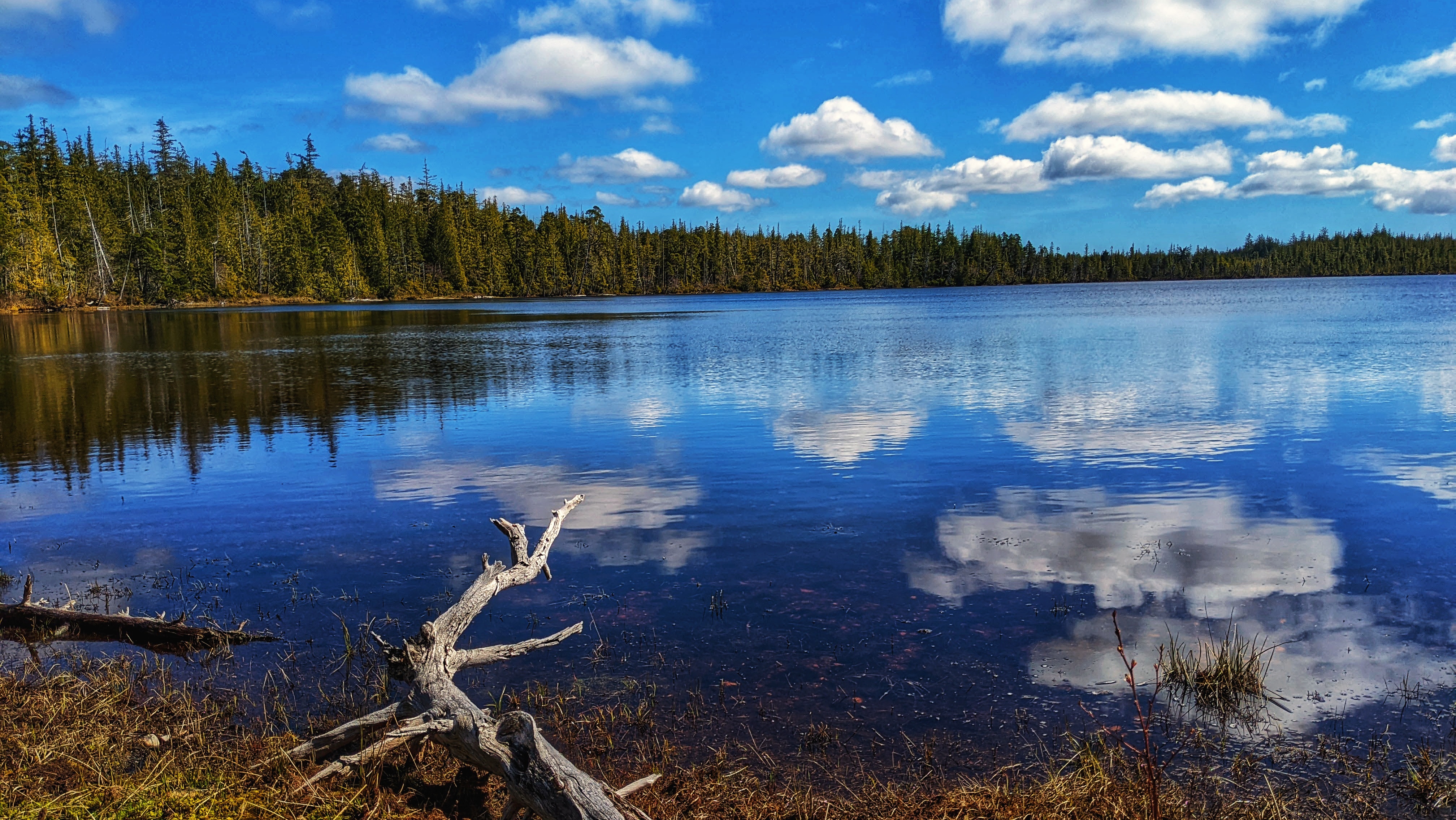 A Serene Walk: Pure Lake Trail