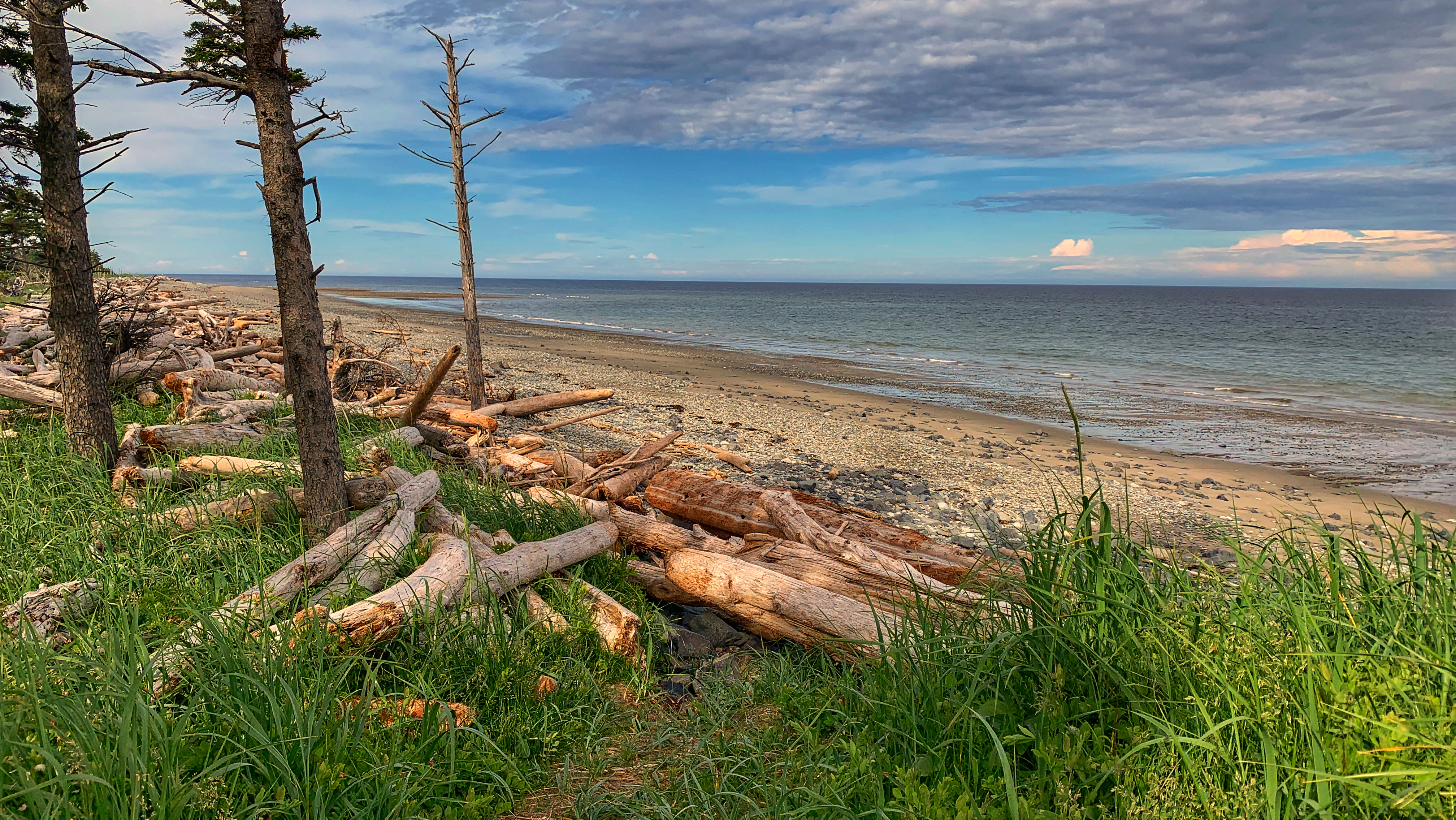 Tlell Dunes Walk – A Beach Walk and Minor Dunes