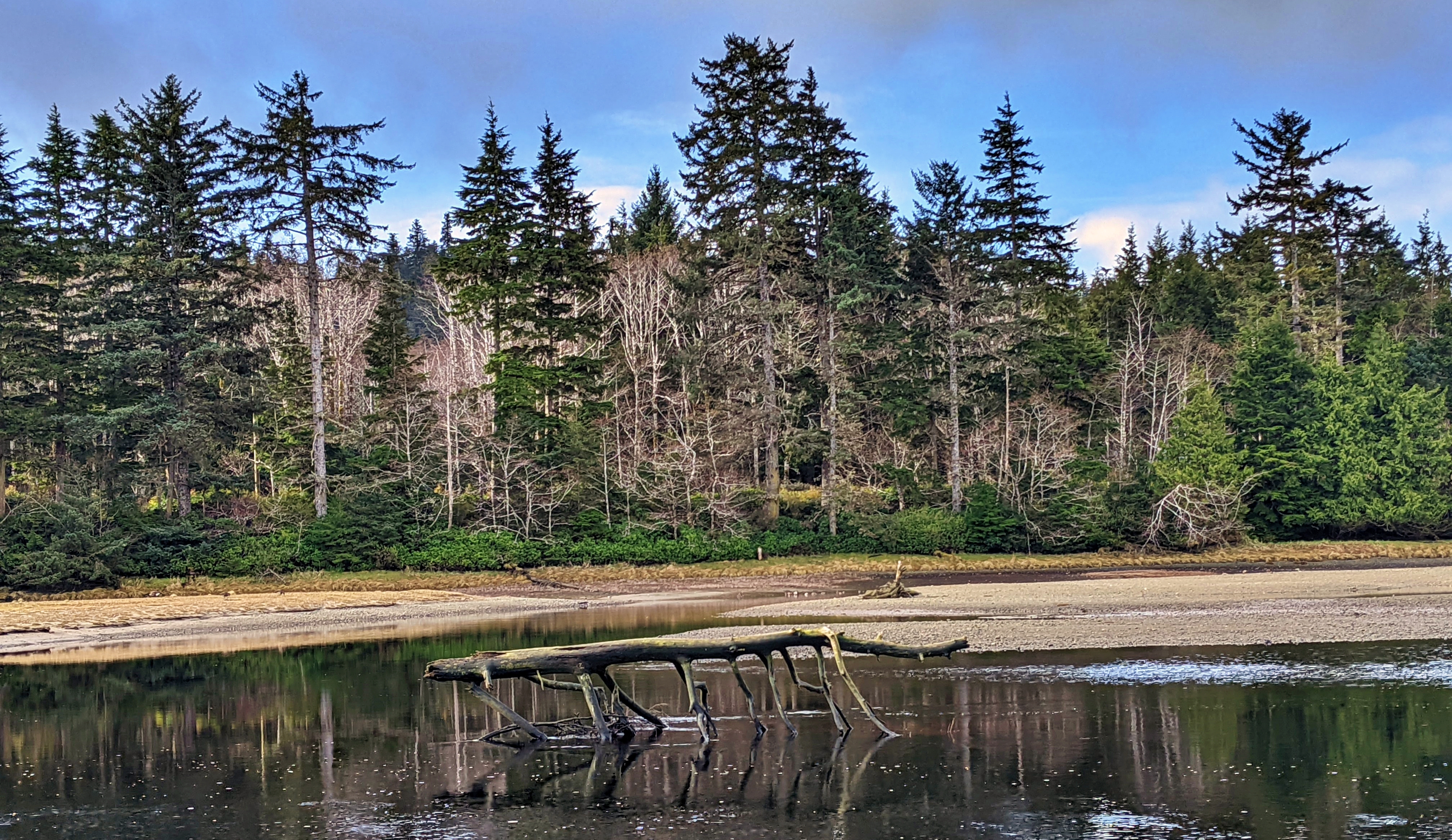 Peaceful Stroll up the Sangan River Trail