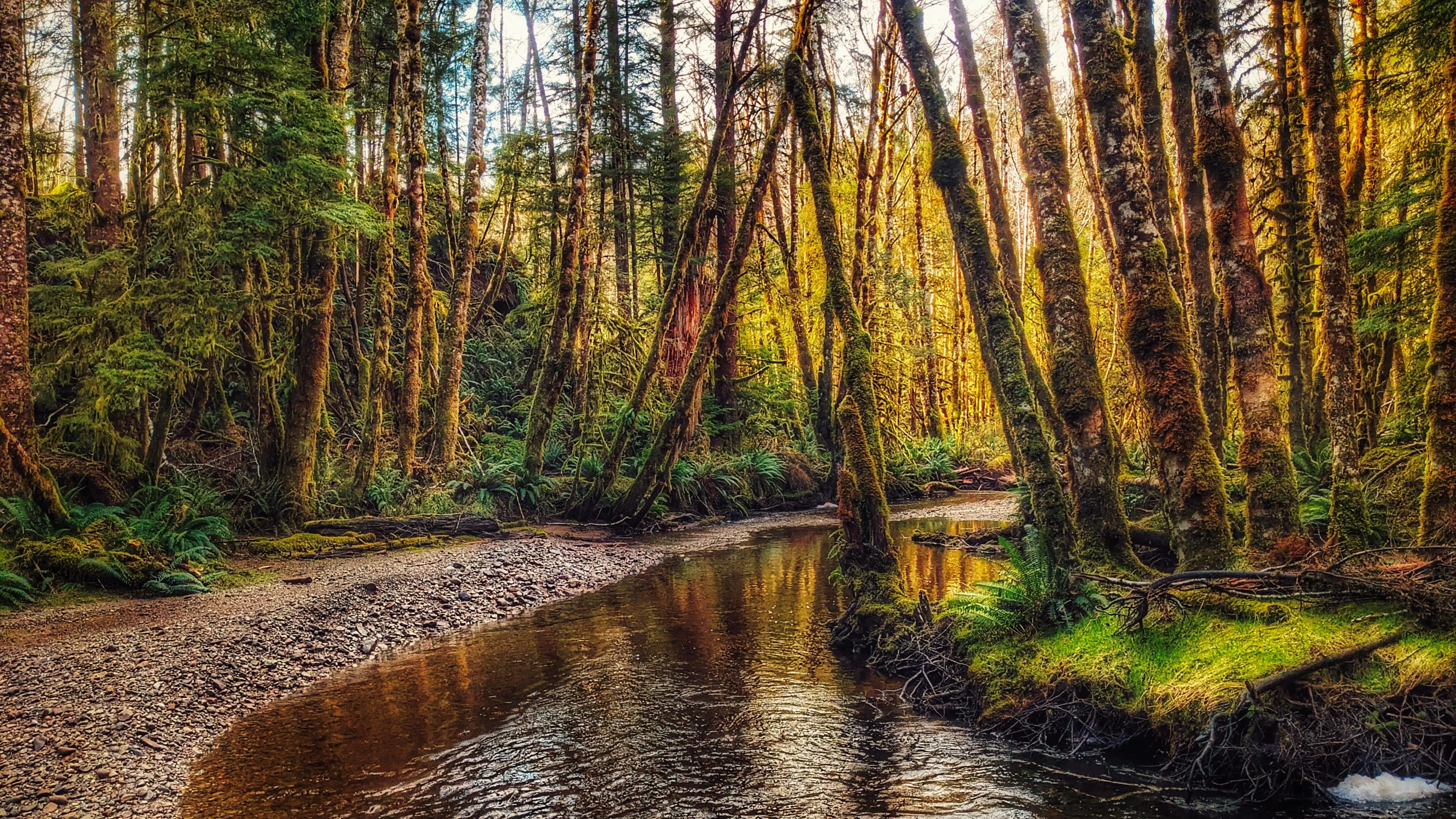 Sachs Creek Trail: A Lovely Wilderness Hike