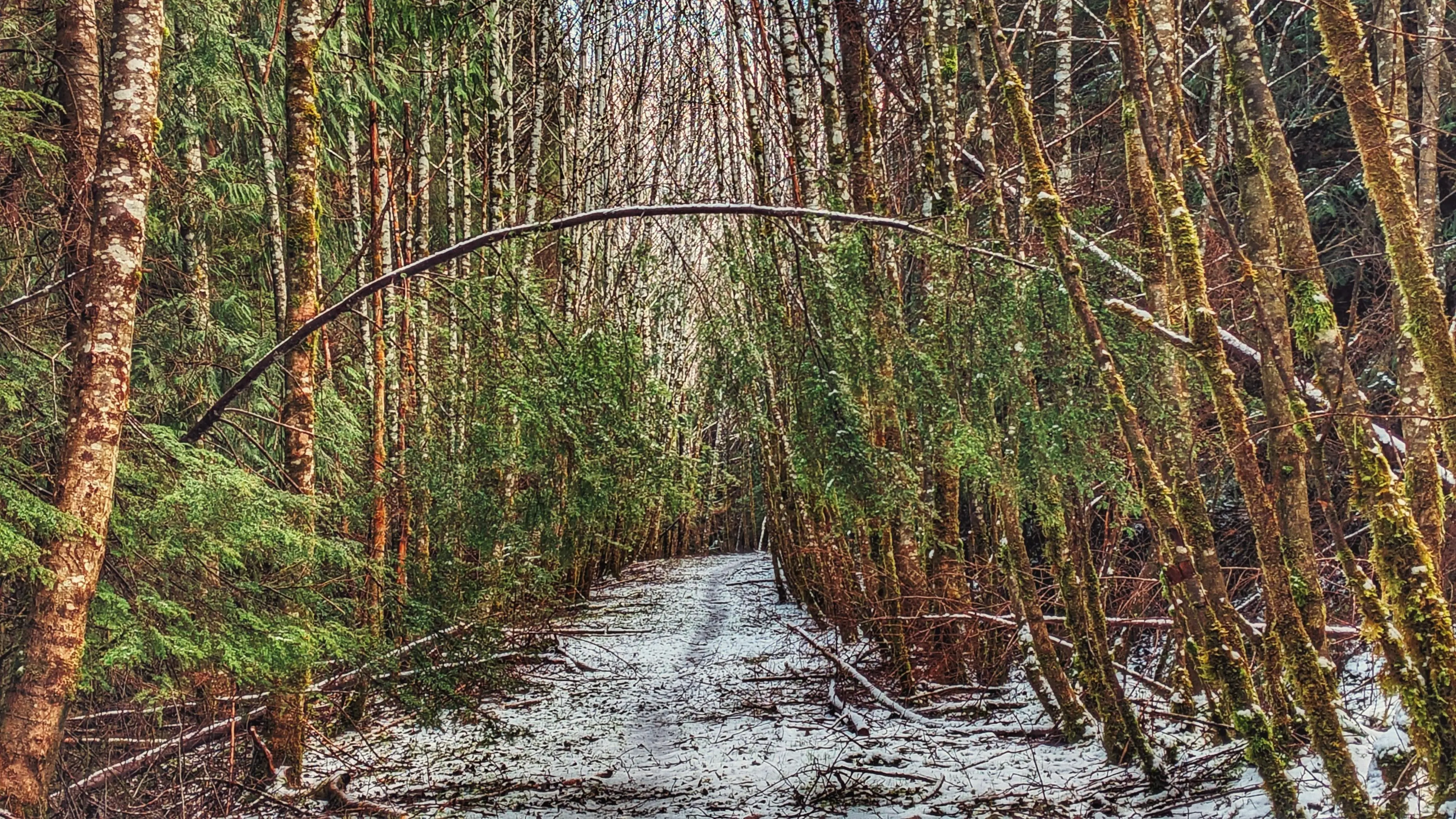 Hiking the High Road – Hatchery Loop Trail