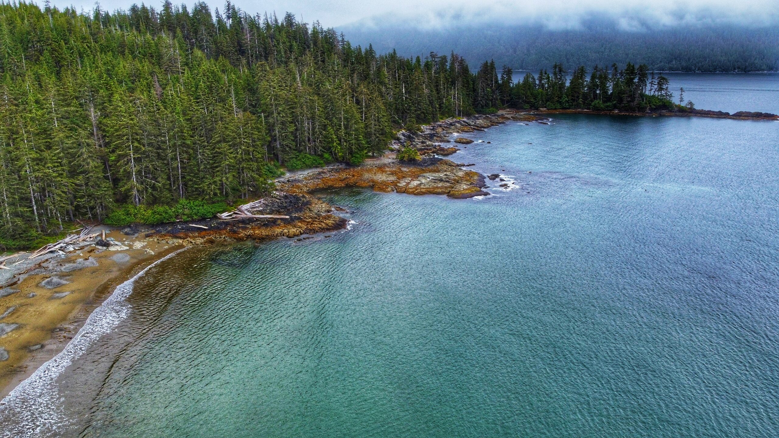 Riley Creek Trail – A Hike Through Old Growth Forest on the West Coast of Haida Gwaii